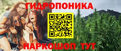 шишки Бугуруслан