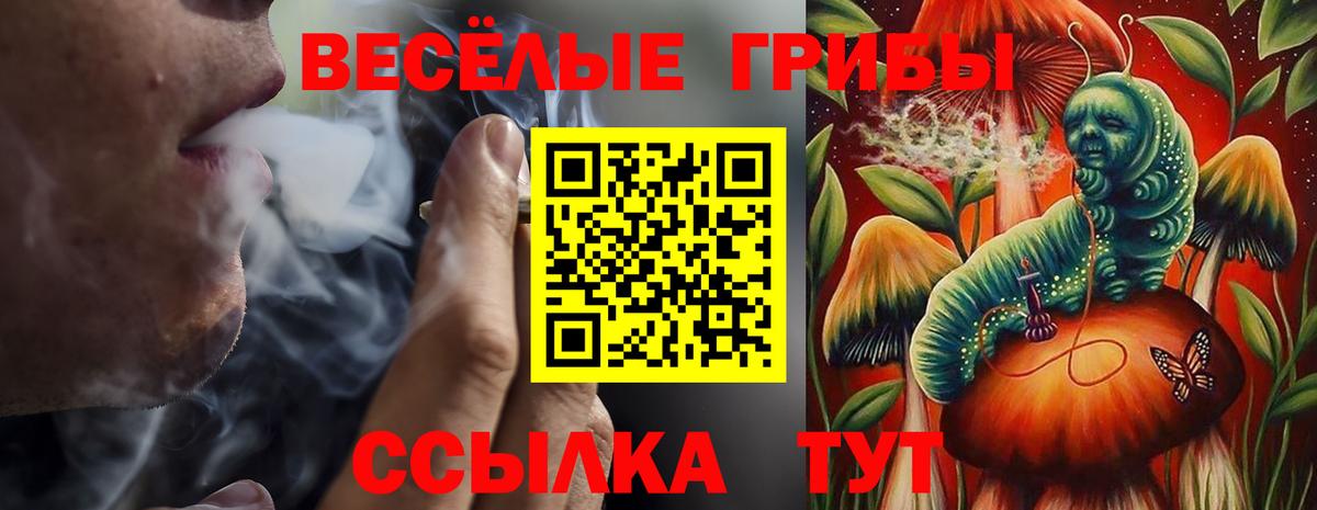 Избербаш  Псилоцибиновые грибы мицелий  Вход с VPN 